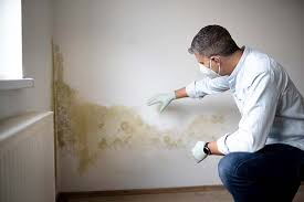 Best Mold Remediation for Healthcare Facilities  in USA